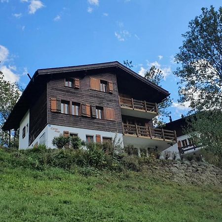 Chalet Carpe Diem Fieschertal Kültér fotó