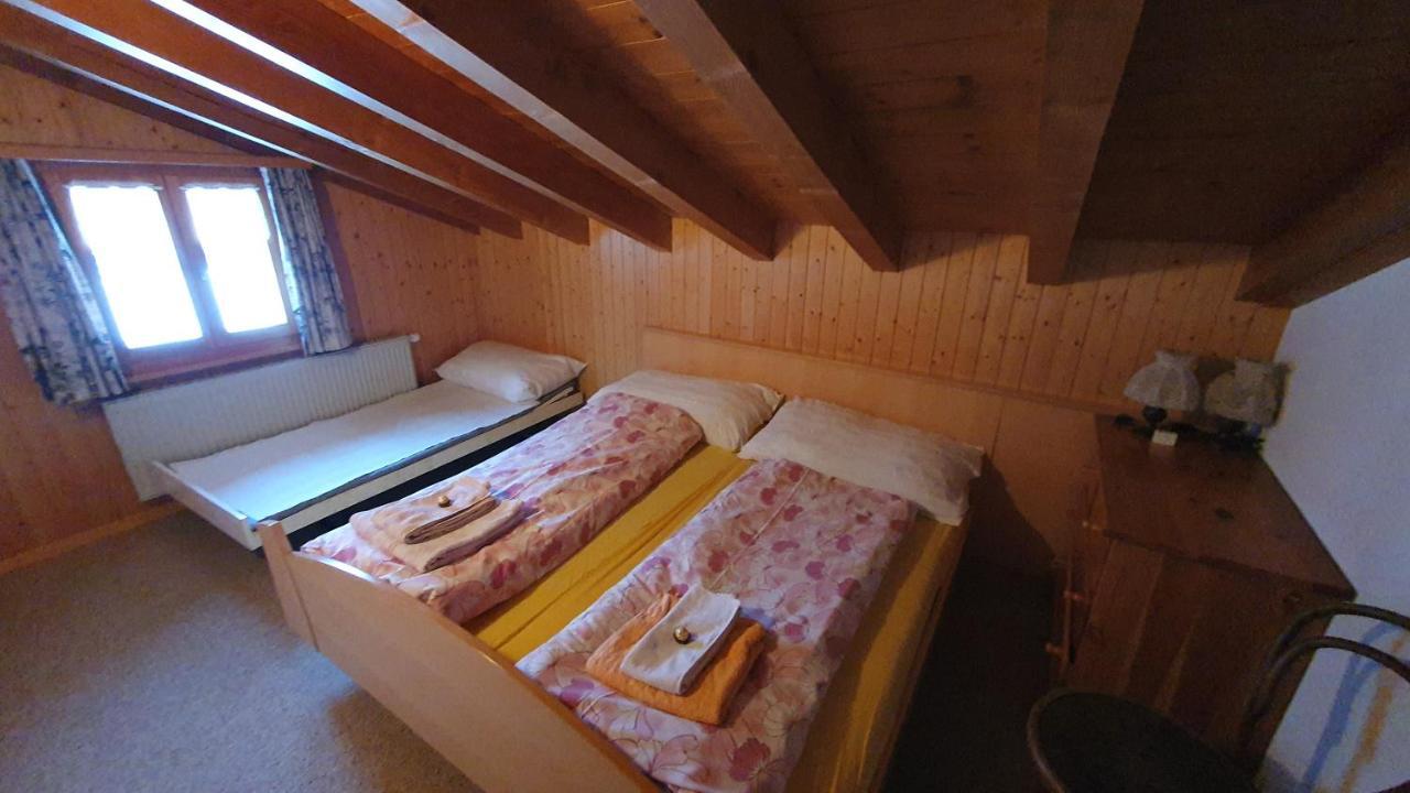 Chalet Carpe Diem Fieschertal Kültér fotó