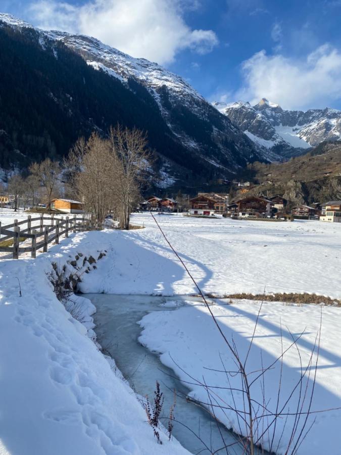 Chalet Carpe Diem Fieschertal Kültér fotó